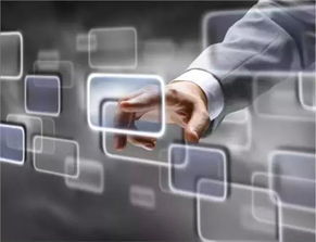 泰安廣寶寶馬信息咨詢服務 專業購車顧問，駕馭精彩未來